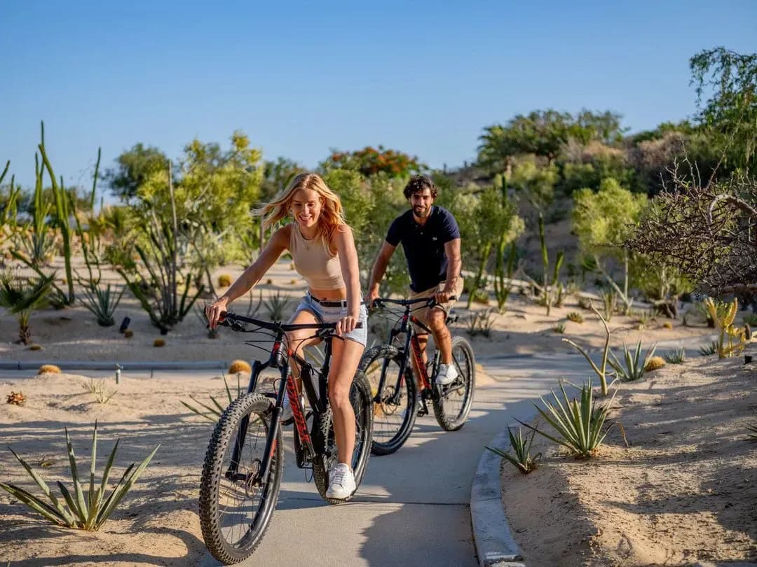 Properties for sale: wellness, spa and concierge		